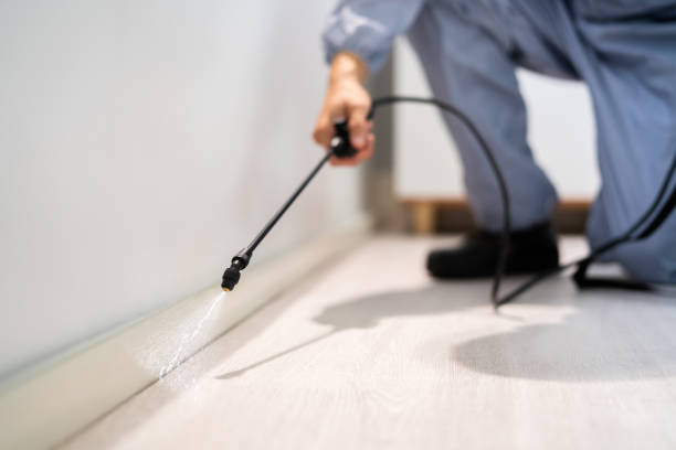 Licensed Pest Control service in Culver City, CA - Show Me Pest Control