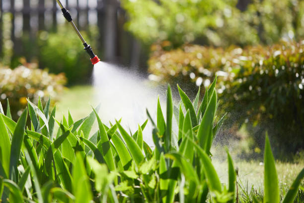 Tamper-Resistant Bait Stations for Rodents in Culver City