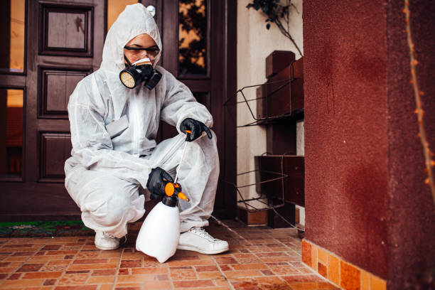 Attic and Crawl Space Rodent Treatment in Culver City